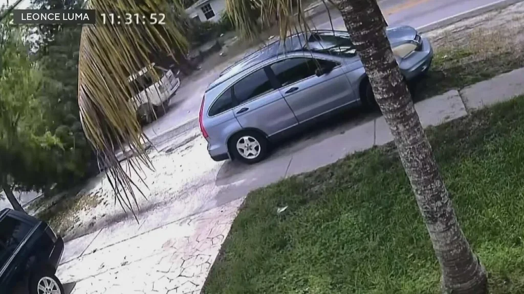 North Miami tree crashes onto Range Rover after its struck by lightning