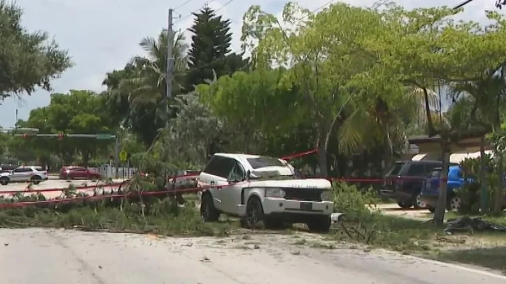 Driver injured when tree falls on SUV after lightning strike in North Miami