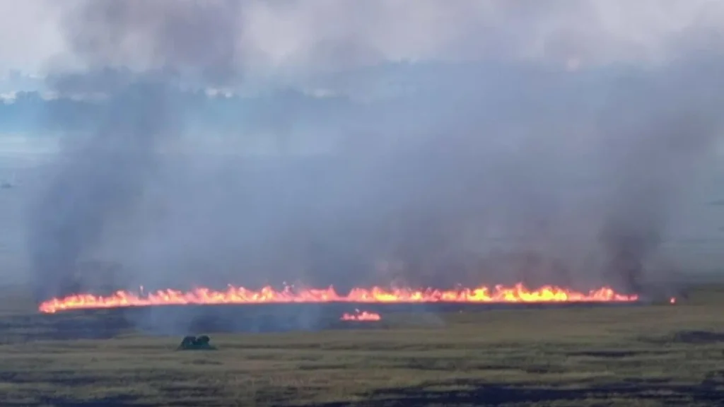 Broward wildfire burning uncontained in Florida Everglades