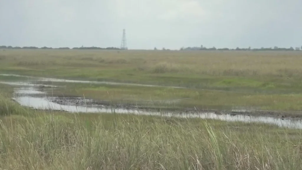 Everglades Foundation reports drought-level water shortages fueling fires