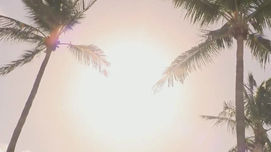 How to stay safe amid heat risk in South Florida