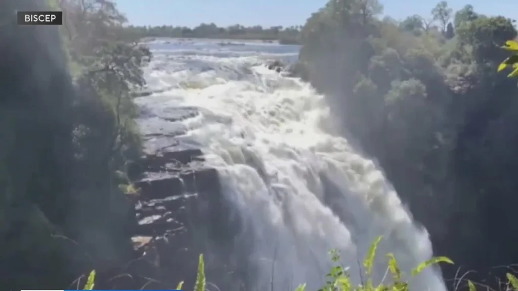 Miami high school students to take a trip to Zimbabwe