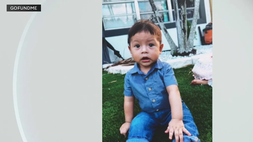 2-year-old boy in West Park dies after being hit by car, sheriff's office says
