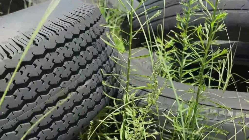 Illegal dumping especially of tires has become an epidemic in South Florida