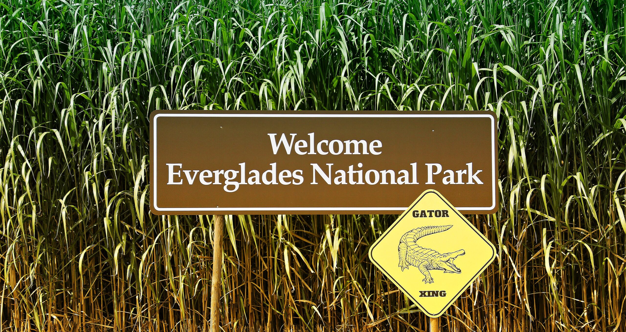 Celebrating America’s Everglades in Washington, D.C.