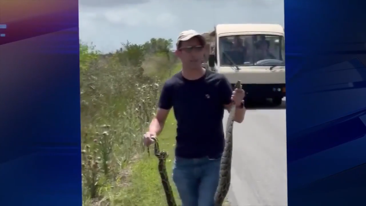 Man who cleared python from Everglades National Park trail has citation thrown out