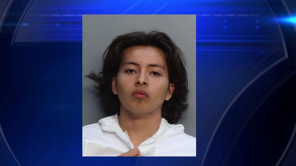 Teen charged with first-degree murder in fatal stabbing of stepfather in Miami, deputies say