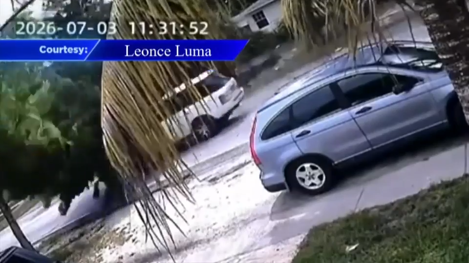 Man hospitalized after lightning knocks tree down onto car in North Miami