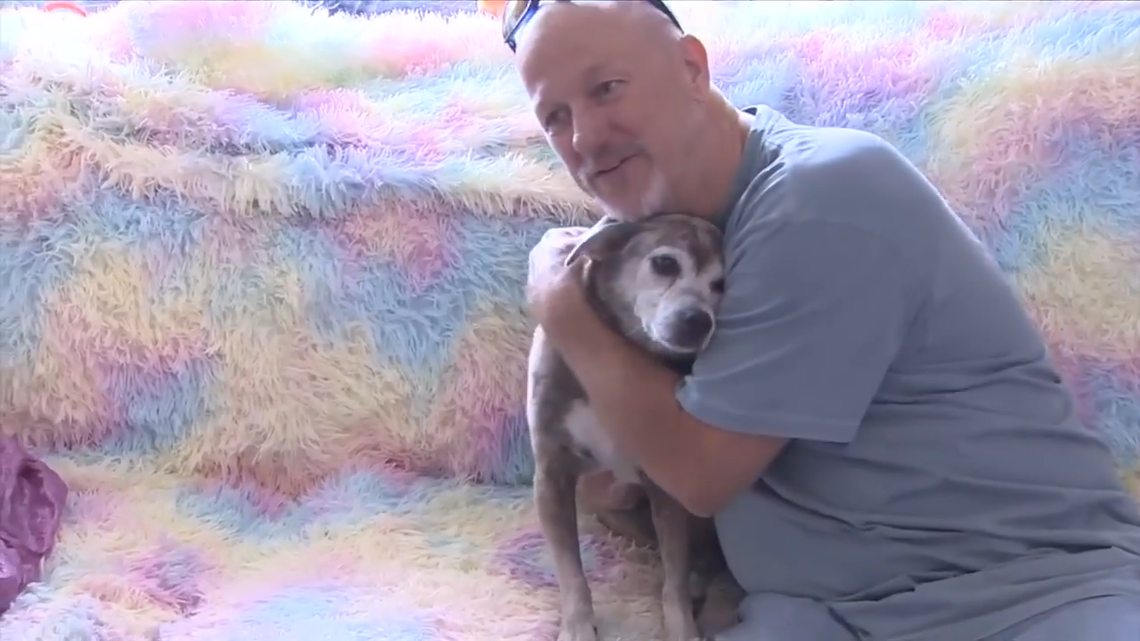 Maryland dog reunited with owner in Pompano Beach after being found hundreds of miles away from home