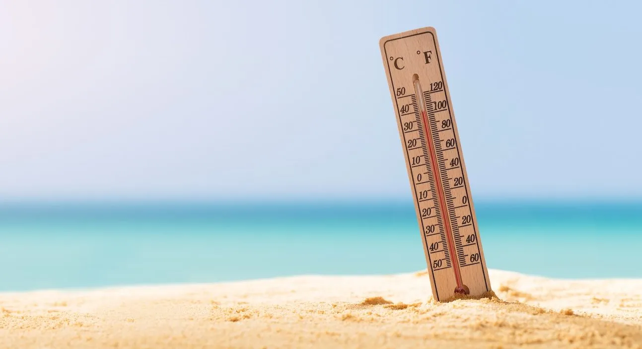 The best ways to stay cool in this brutal Miami heat