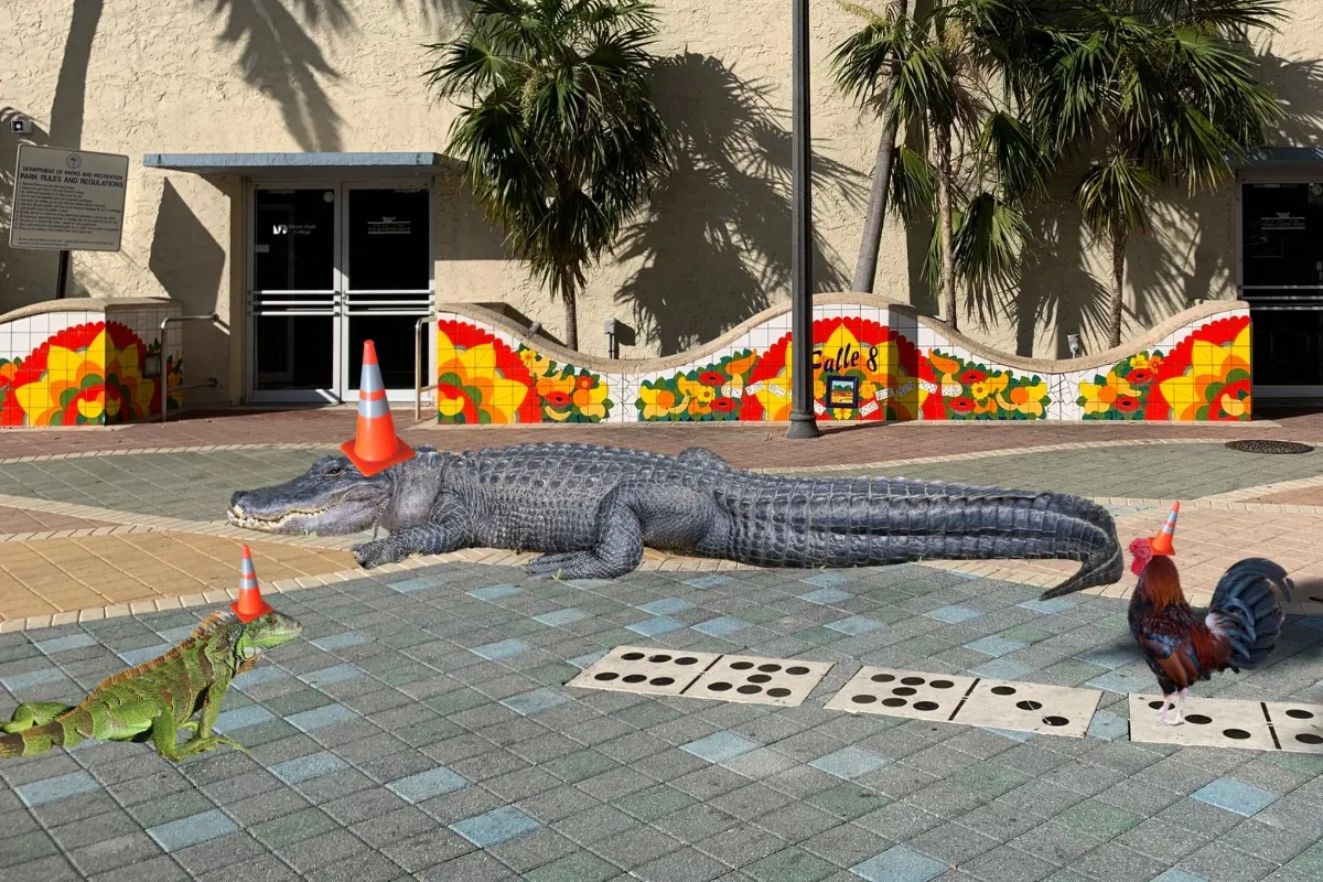 Keeping up with the Tartans: We’re following the Scots around Miami