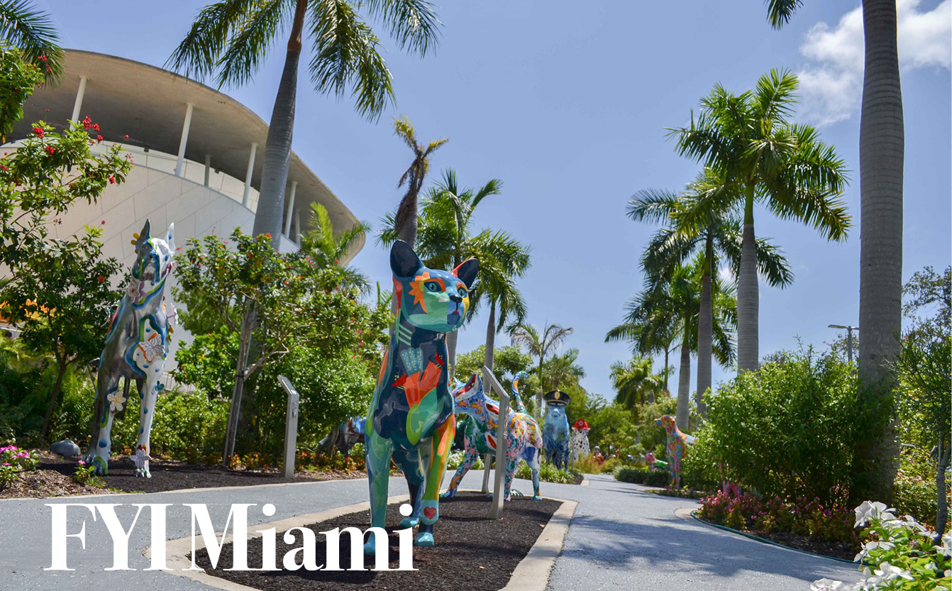 FYI Miami: June 11, 2026